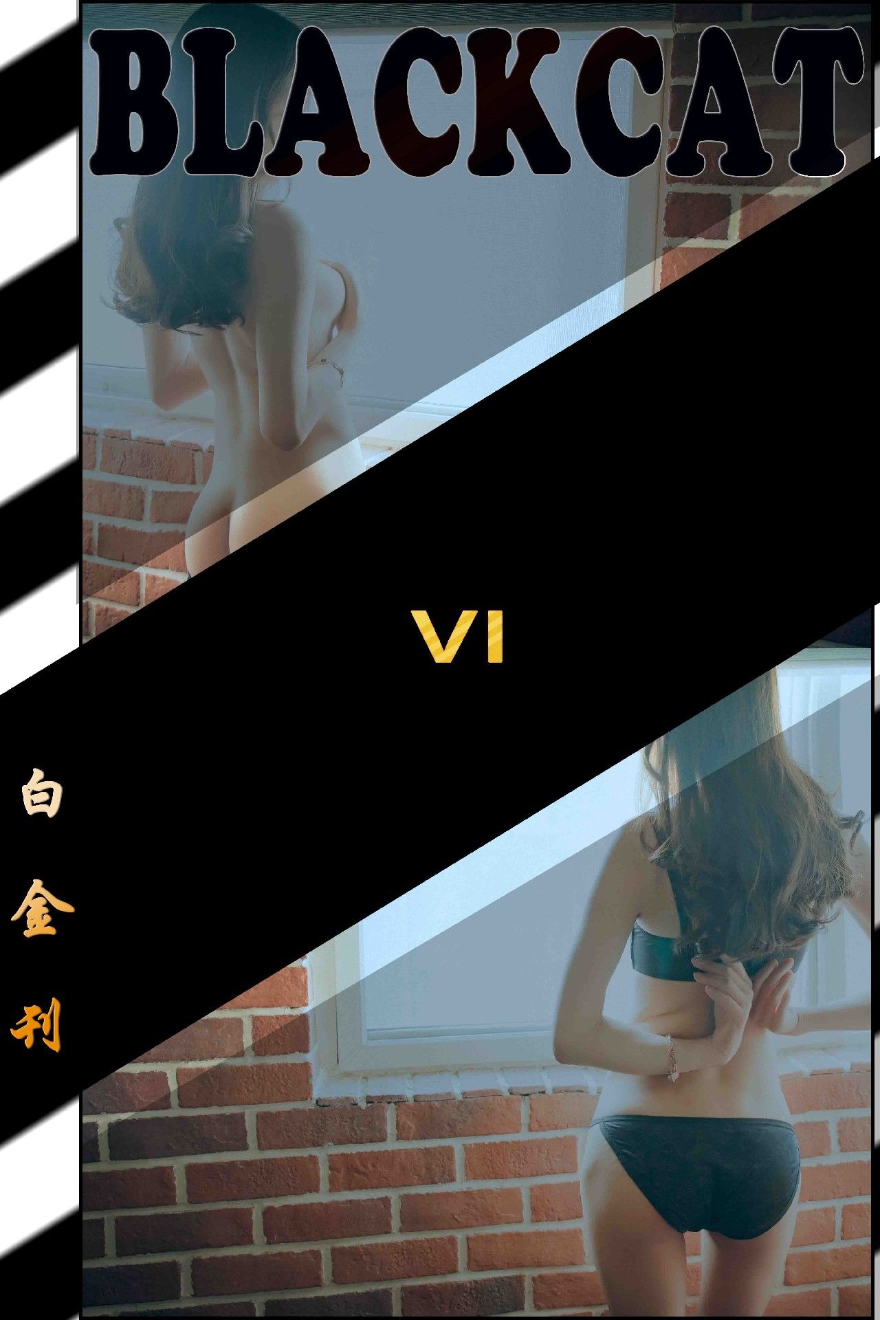 白金006刊白金006刊