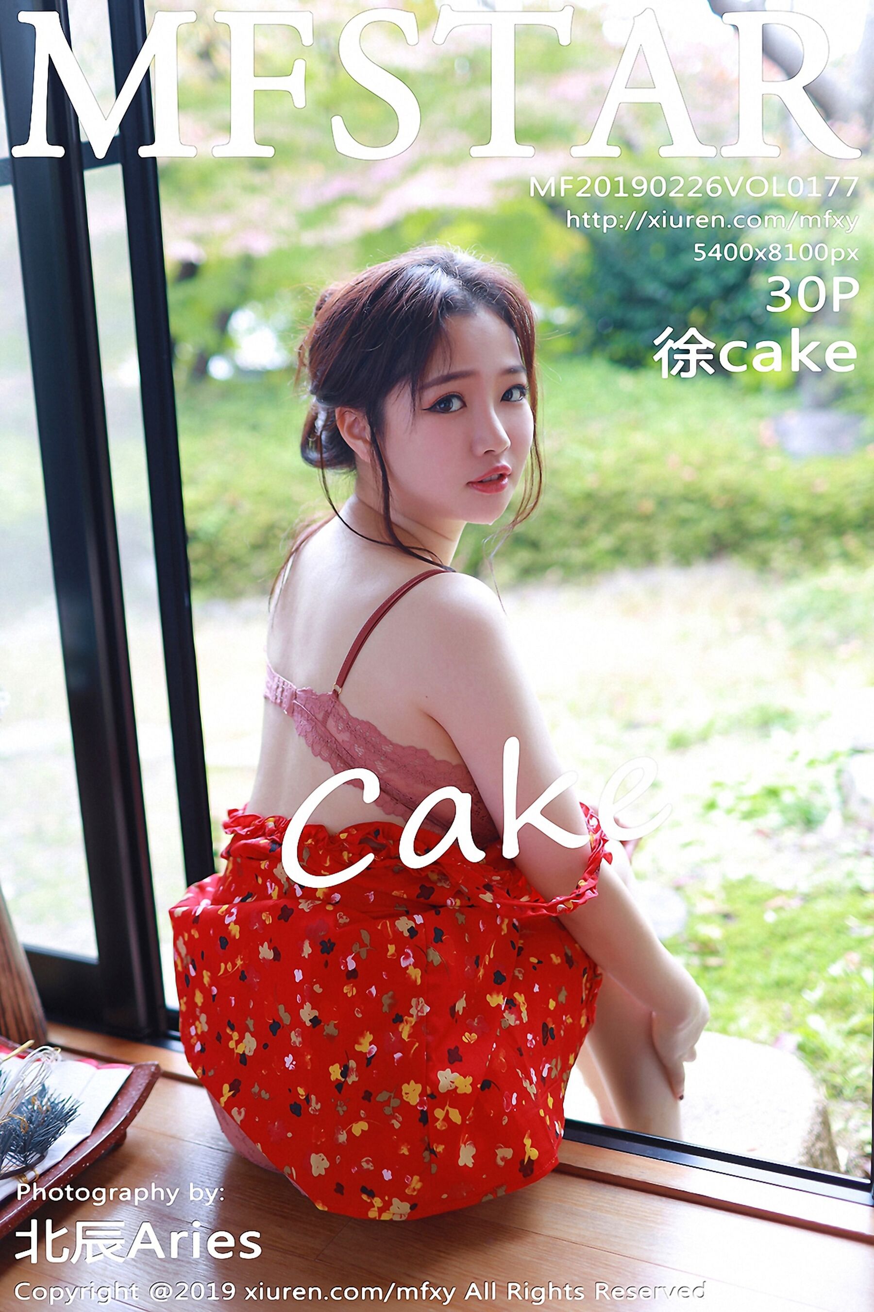 徐cakeVol. 0177