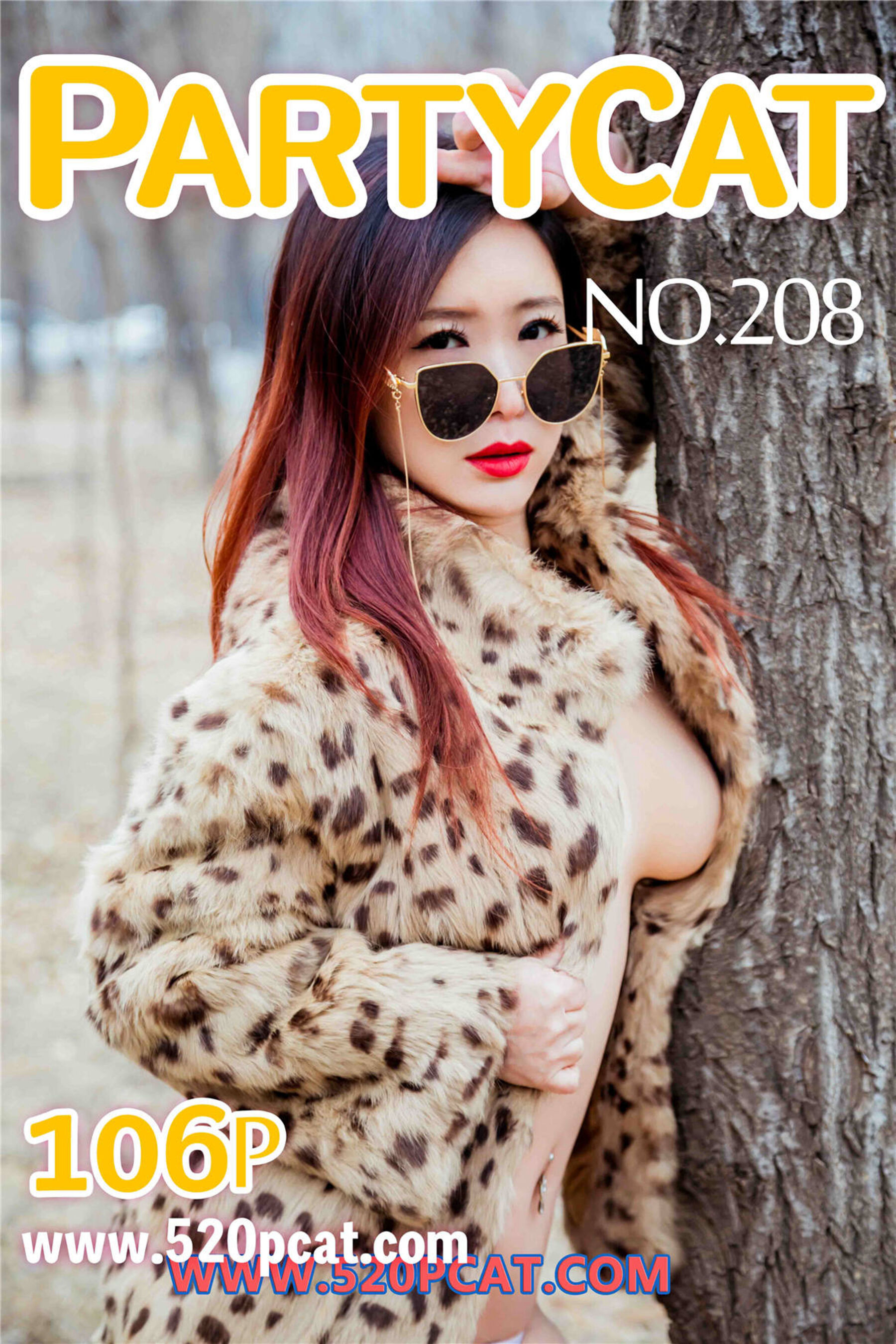 Vol.208Vol. 208