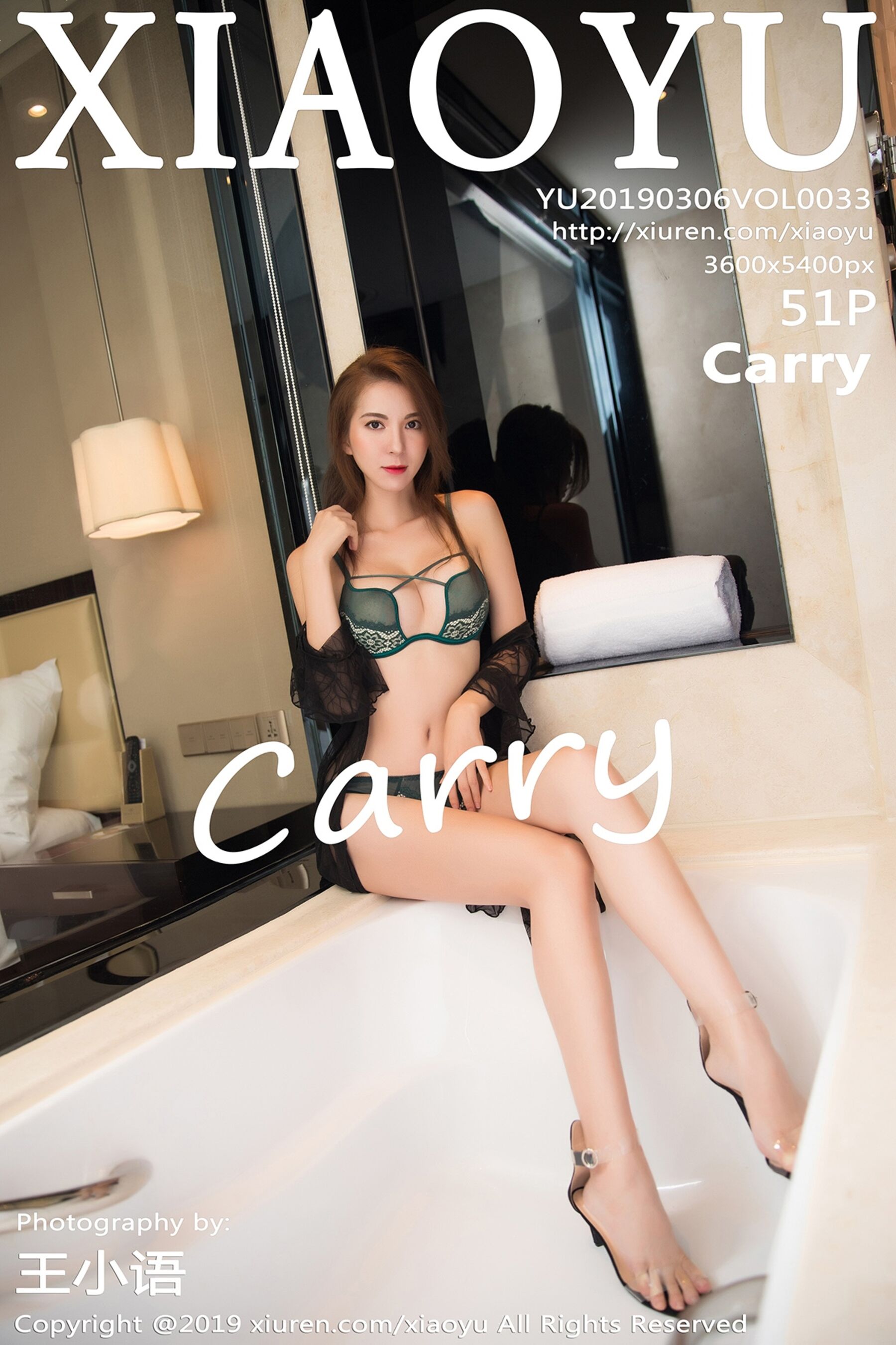 CarryVol. 0033