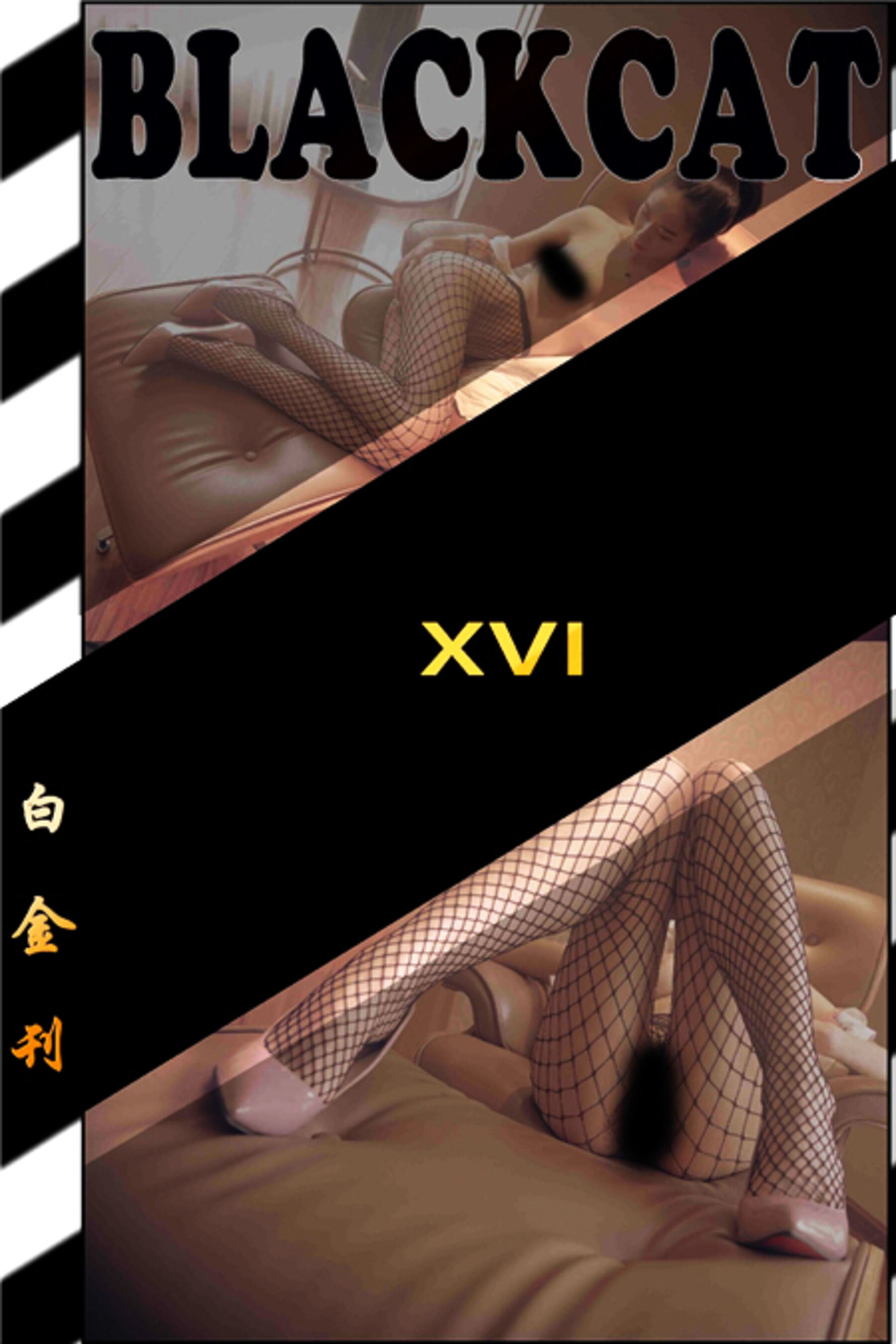 白金016刊白金016刊